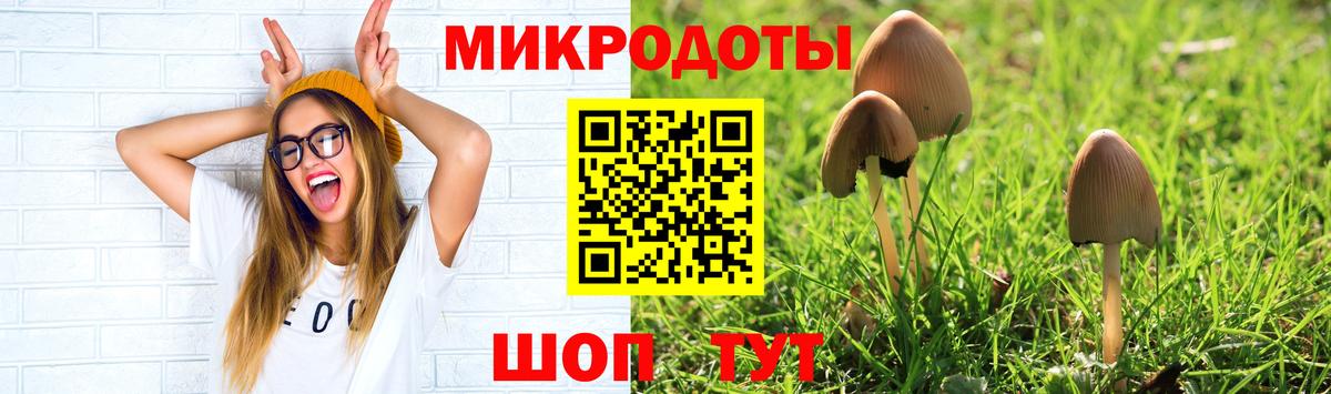 Галлюциногенные грибы прущие грибы Заволжье