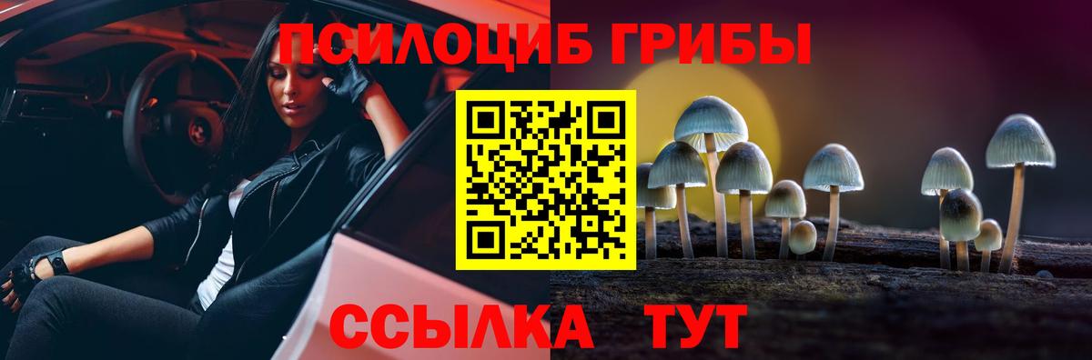 Галлюциногенные грибы Cubensis  Галлюциногенные грибы Psilocybine cubensis  как найти закладки  Вход с VPN  Заволжье 